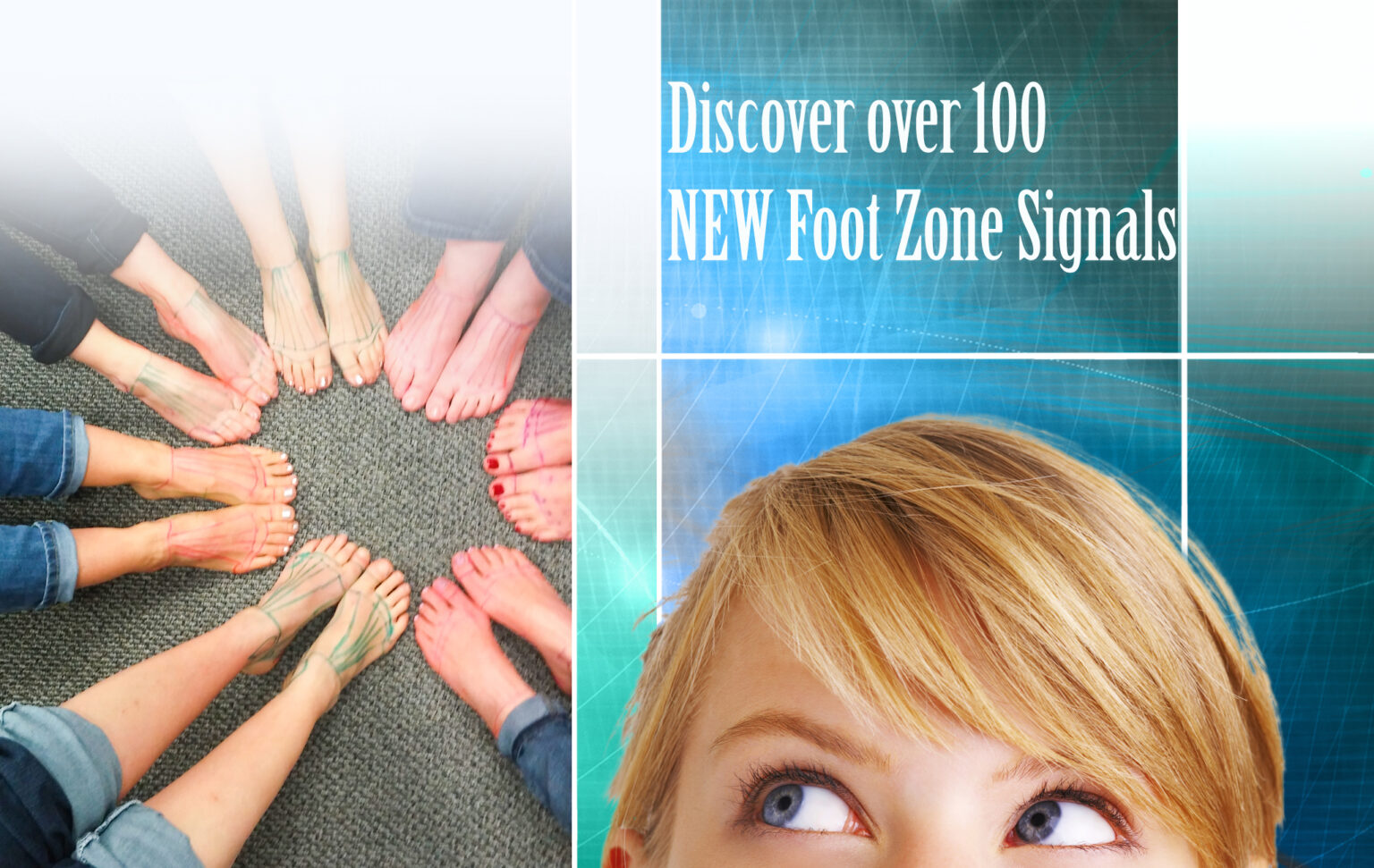 Wellness Life Zone, Sandy, UT