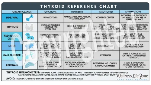 Thyroid Reference Chart