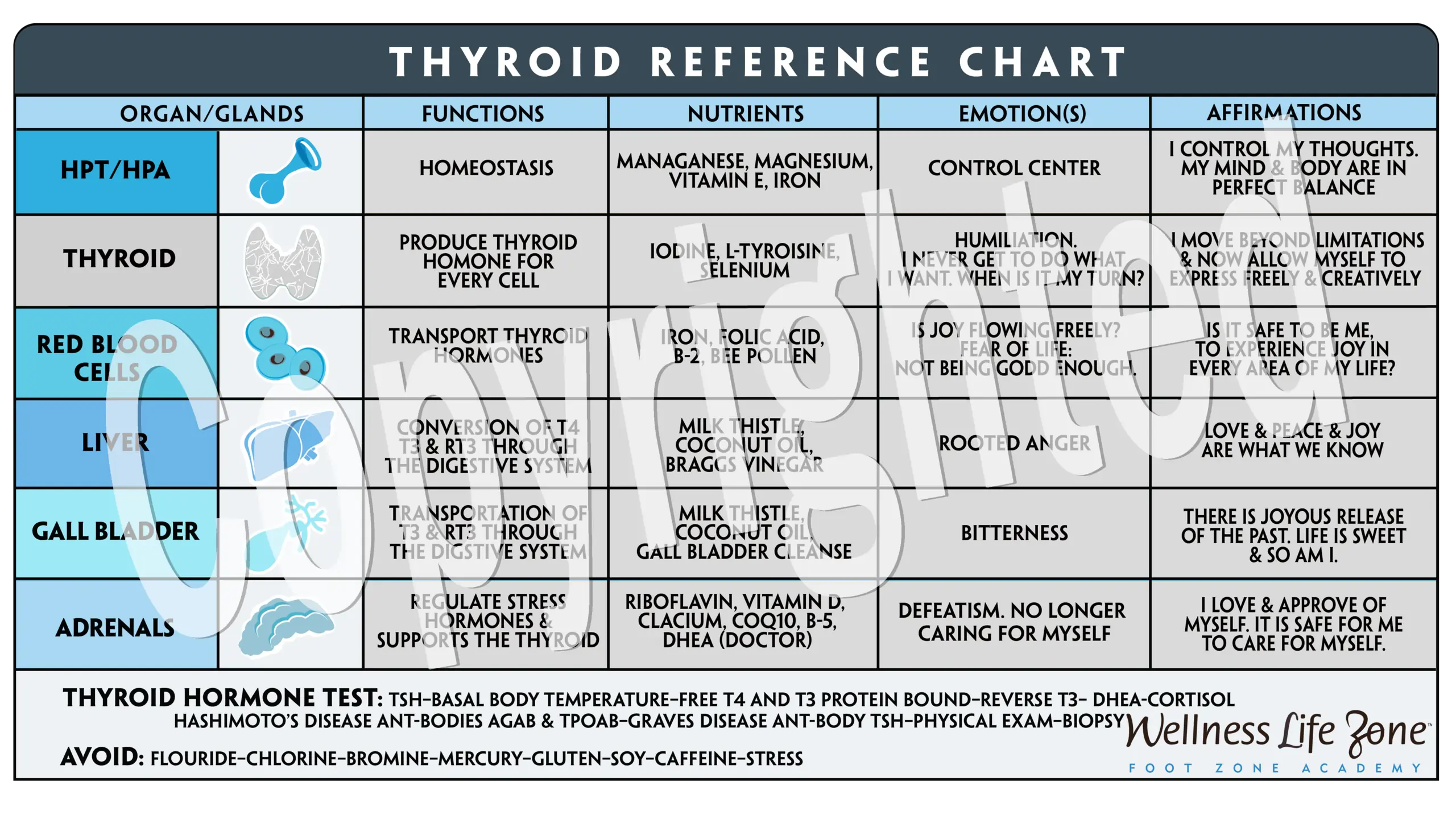 Thyroid Reference Chart