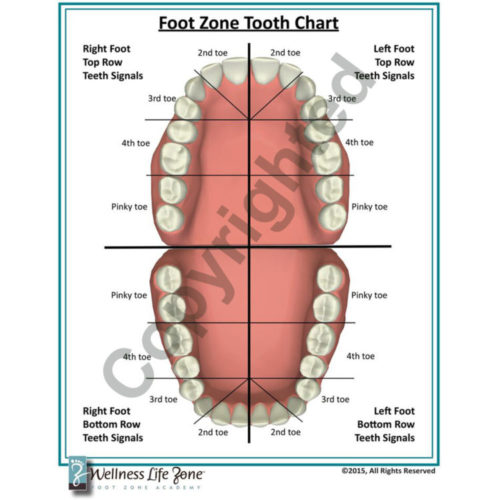 footzone tooth chart
