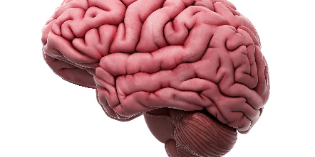 Brain Health is a Step to Total Health