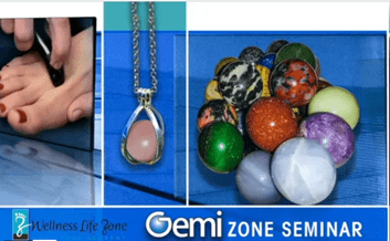 CE - Gemi Zone Seminar Video