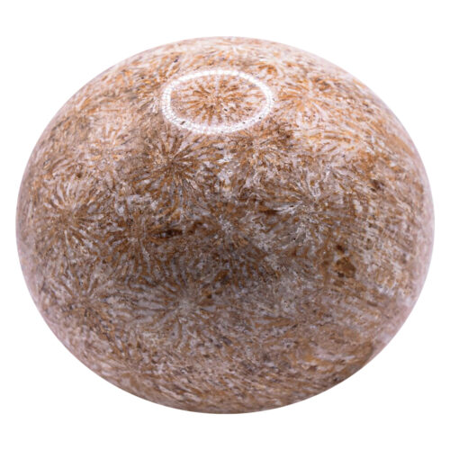 Coral Gem Sphere