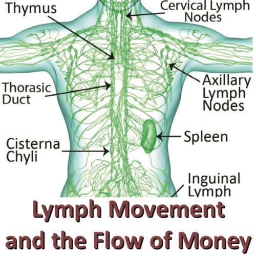 lymph movement