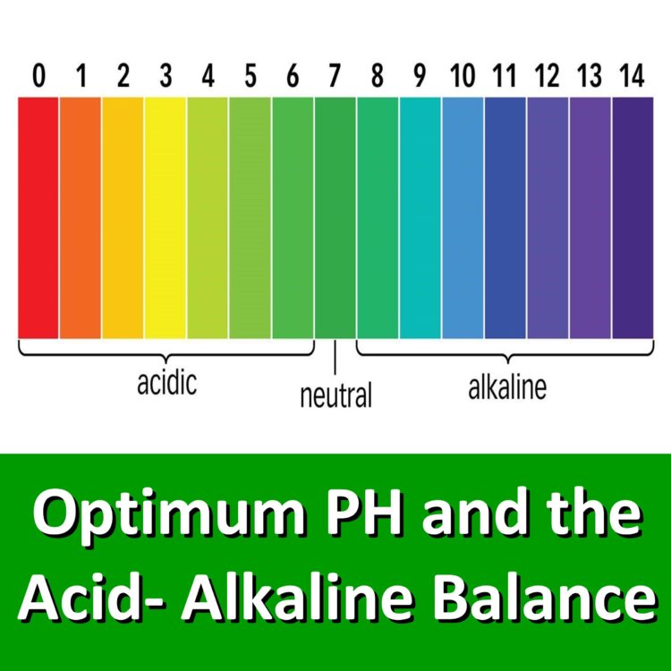 ph-scale-foods