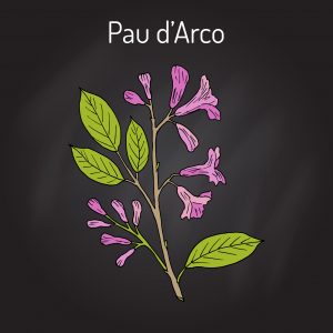  PAU-D’ARCO