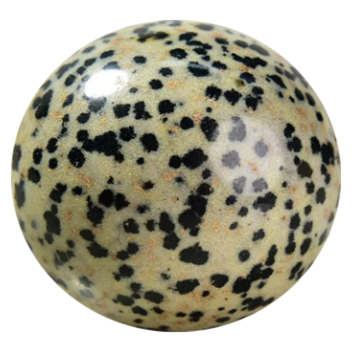 Dalmatian jasper gemstone for crystal wellness.