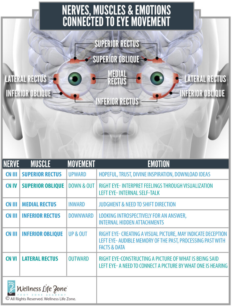 Cranial Nerves for Your Eye Foot Zoning Wellness Life Zone