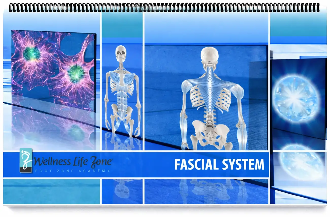 Fascial System Booklet