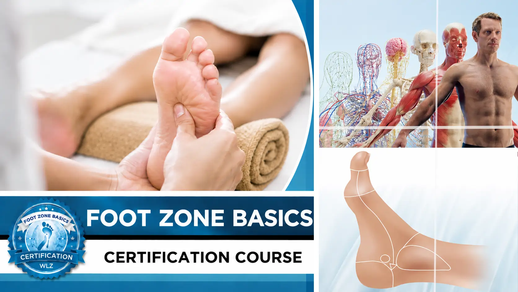 Foot Zone Basics Certification